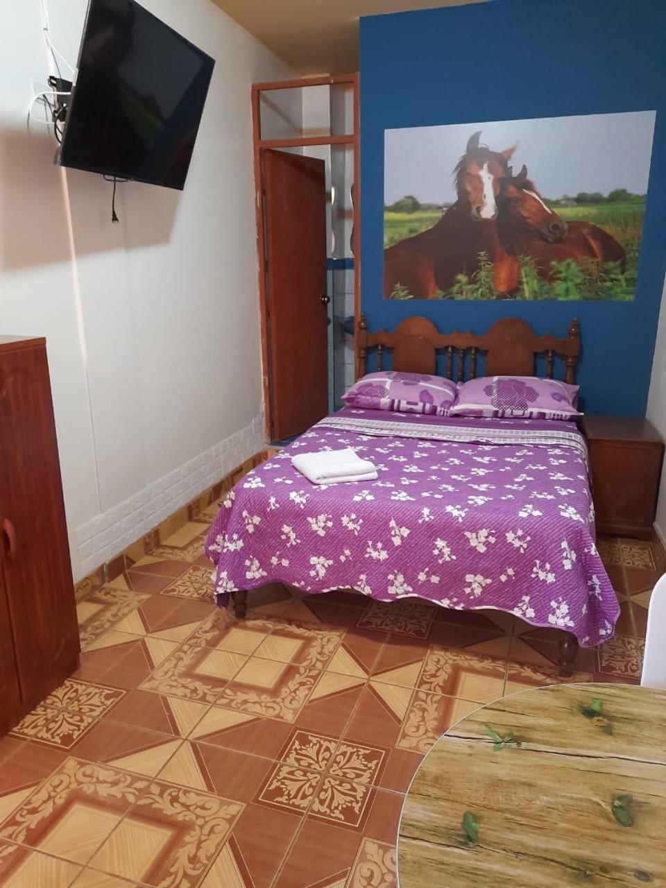 Nasca Trails B&B Nazca Eksteriør billede