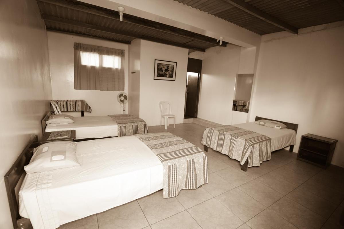 Nasca Trails B&B Nazca Eksteriør billede